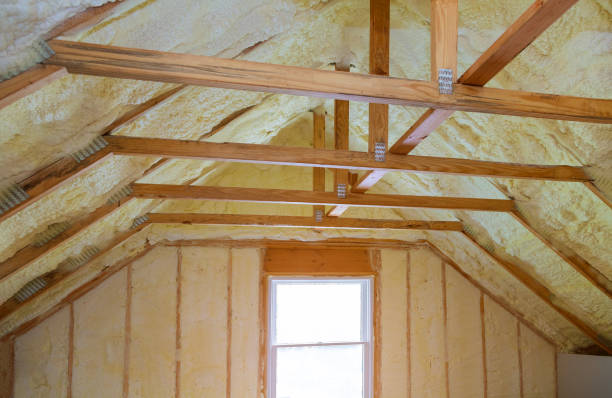 Best Insulation Contractors for Homes  in Amberley, OH