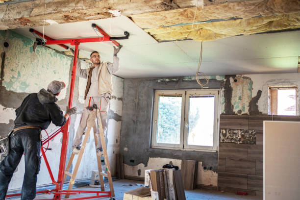 Best Insulation Removal  in Amberley, OH