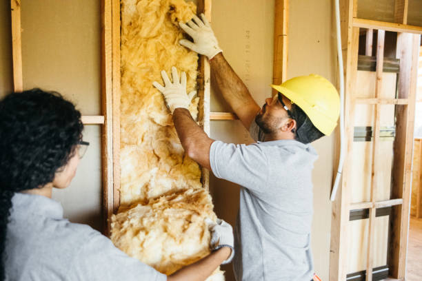 Professional Insulation Contractor in Amberley, OH